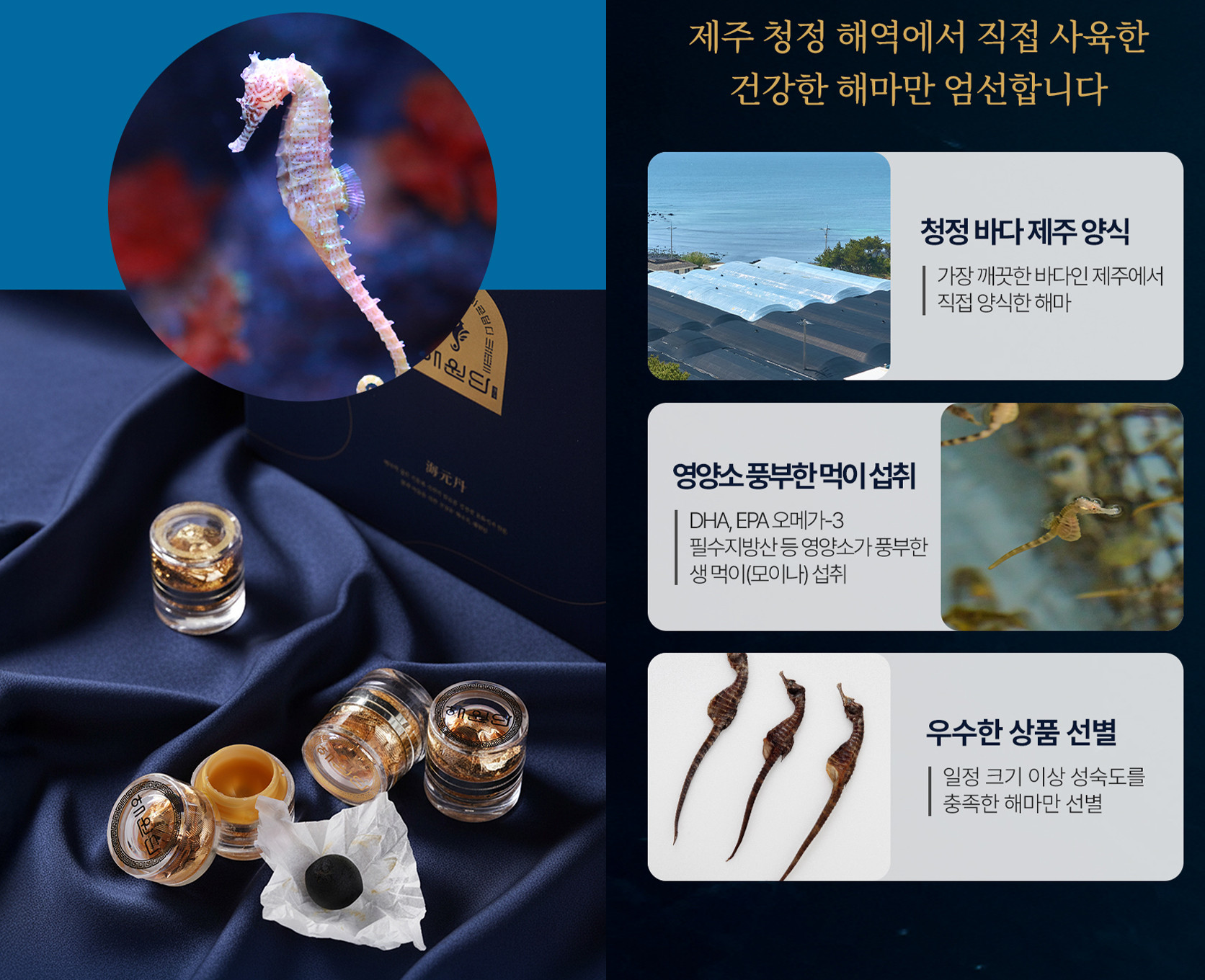 海源丹 해마환 실물